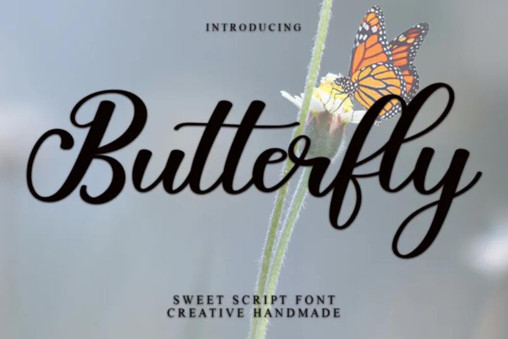 Butterfly 优雅而大胆的蝴蝶书法展示字体下载
